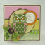 SSDIE-016-G Owl Solid Die