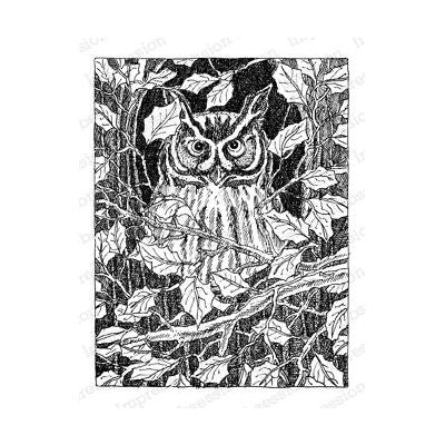 H1921-DG Owl in Tree