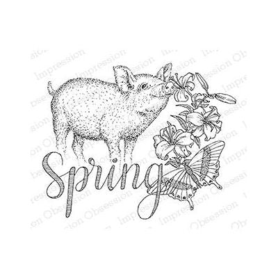H2528-DG Spring Pig