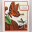 H1924-DG Butterfly & Pumpkins