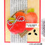 CS1366 Apple for Teacher