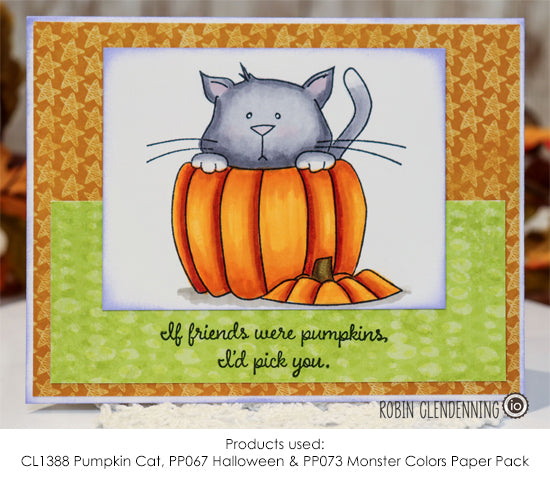 CS1388 Pumpkin Cat