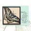DIE864-YY Swallowtail Frame