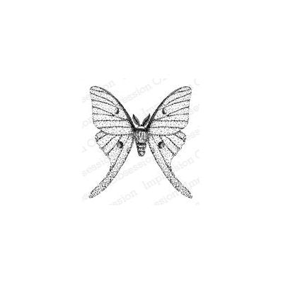 D1328-DG Luna Moth
