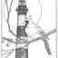 H1902-DG Bodie Lighthouse Cardinal