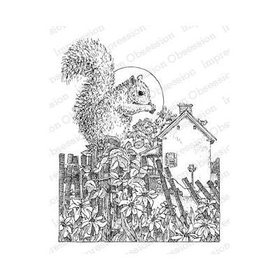 H1971-DG Squirrel on Fence