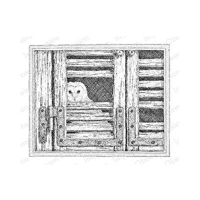 G2511-DG Owl Peeking