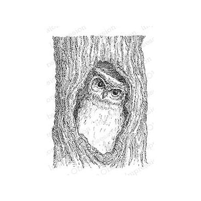 F2516-DG Owl in Tree