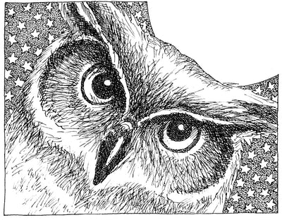 H2543-DG Star Owl