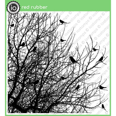 CC102 Birds on Trees