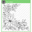 CC220 Poinsettia Sketch