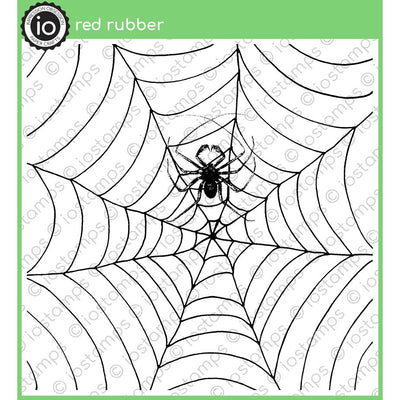 CC263 Spider in Web