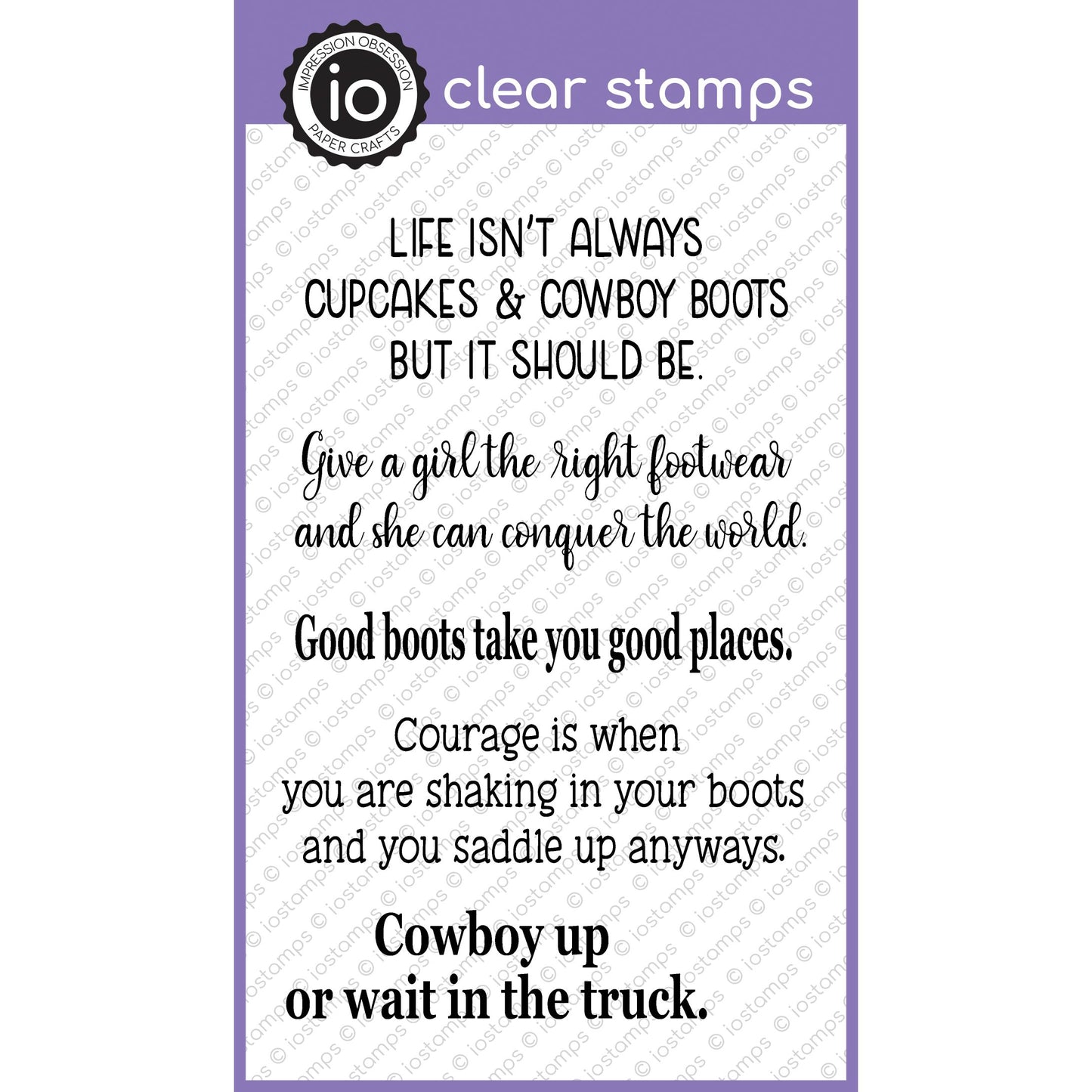 CL1091 Cowboy Boot Sayings 2